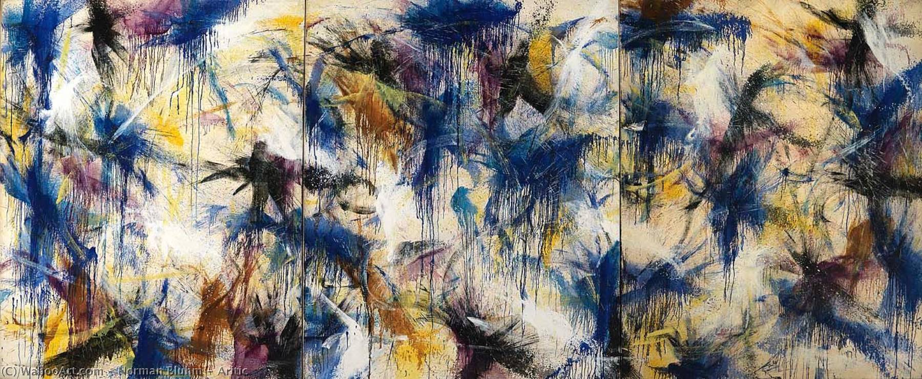 Aritic — Norman Bluhm
