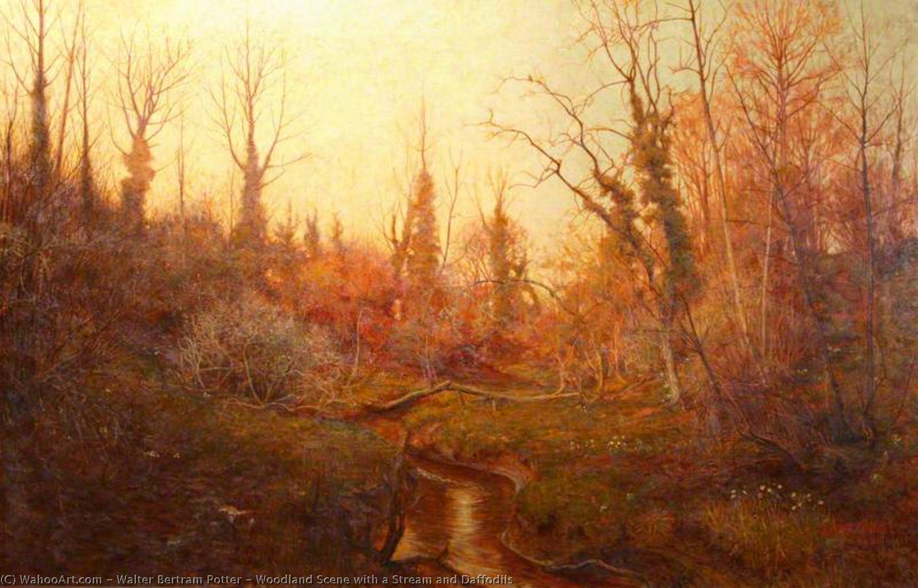 Woodland Scene With A Stream And Daffodils — Walter Bertram Potter