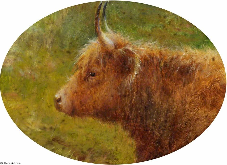 Study Of A Highland Cow — ルイ・ボズワース・ハート