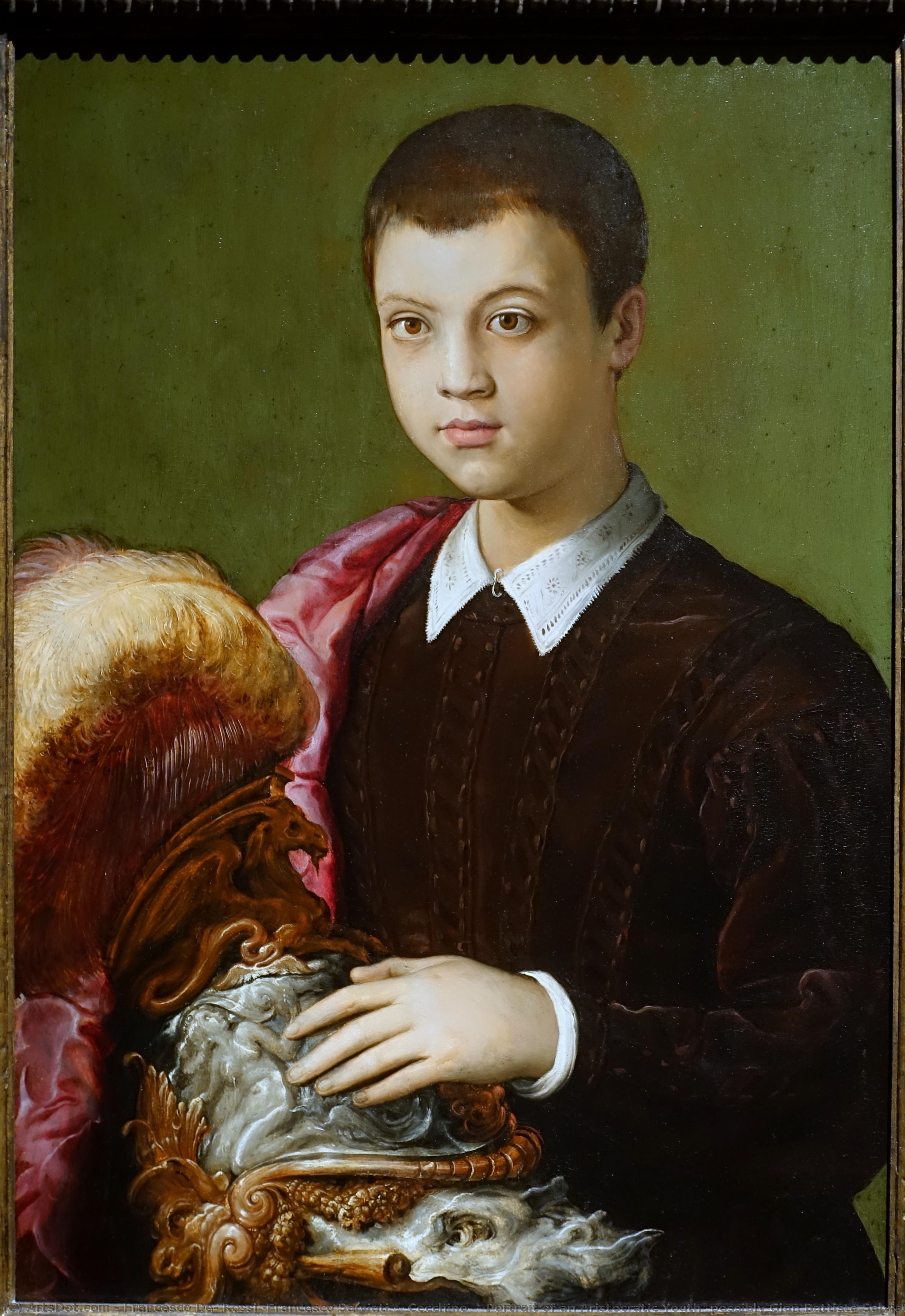 Retrato De Un Joven Aristocrático (posiblemente Gian Battista Salviati) — Francesco Salviati