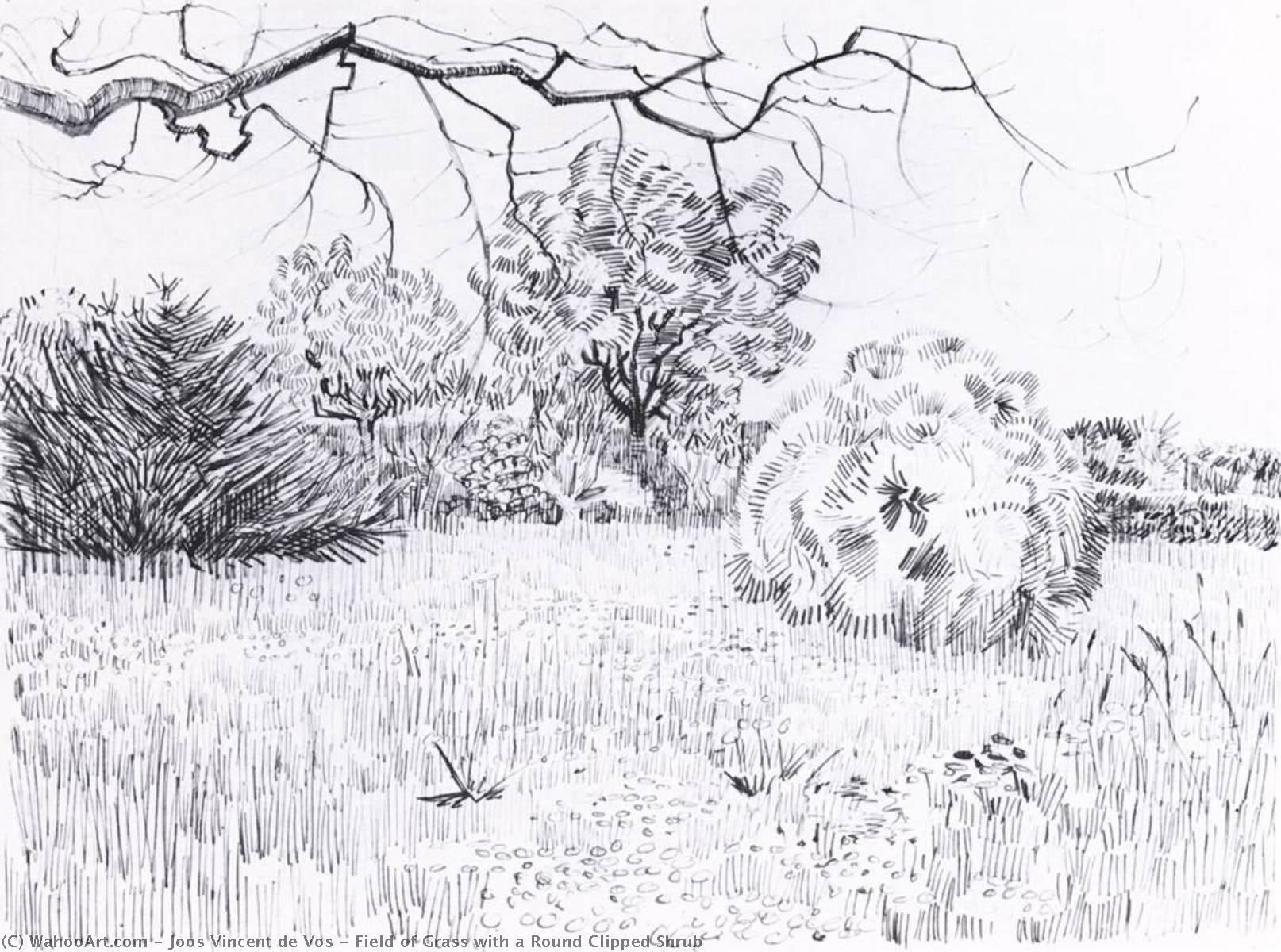 Field Of Grass With A Round Clipped Shrub — Joos Vincent De Vos