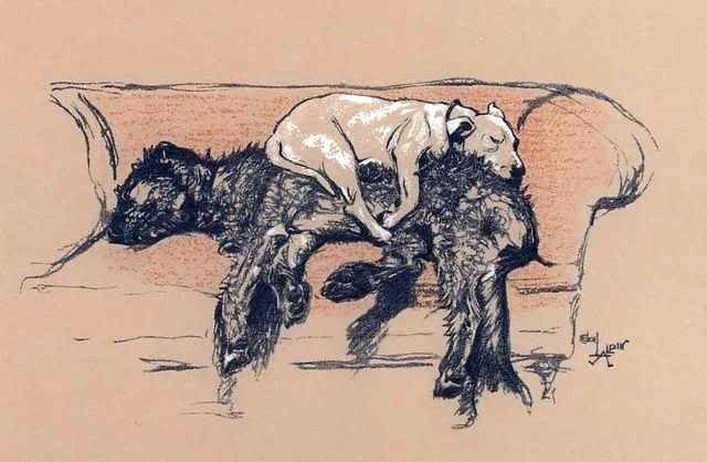 Pastel Drawing — Cecil Charles Aldin