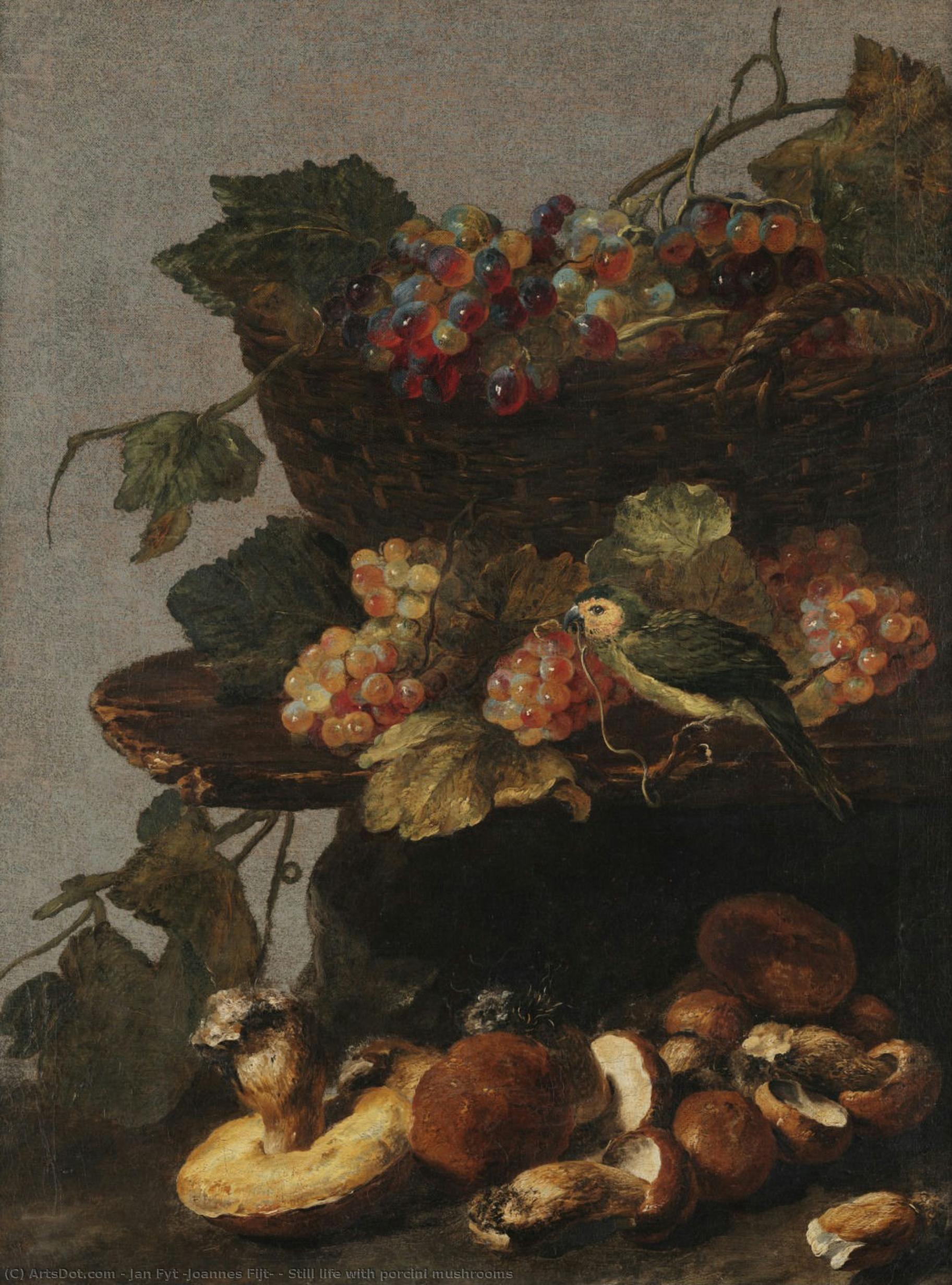 Still Life With Porcini Mushrooms — Jan Fyt