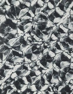 Segment Of Rhinoceros Horn — Laure Albin Guillot