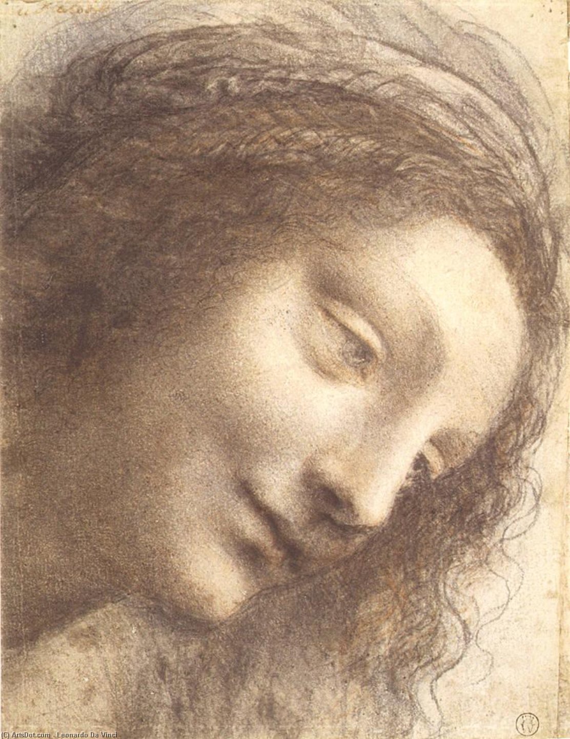 Cabeza De La Virgen — Леонардо Да Винчи