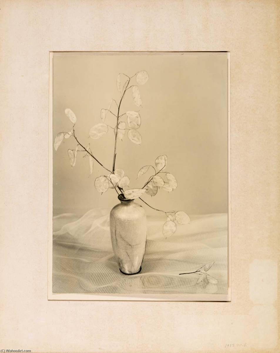 Iridescence — Grace M Ballentine
