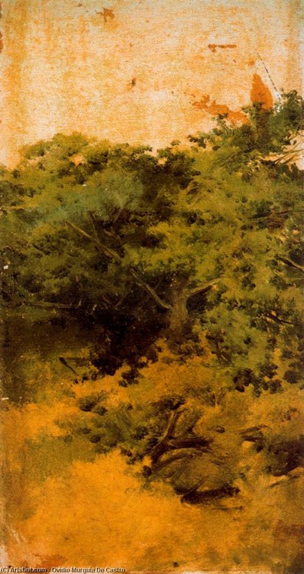 Landscape. Trees — Овидио Мургия Де Кастро