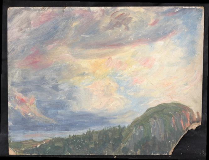 Wald Unter Blauem, Rotem Und Grauen Himmel — Valentine Reyre
