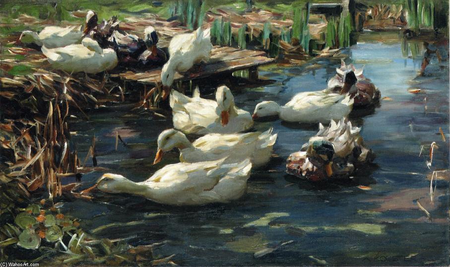 Ducks In A Quiet Pool — Alexander Max Koeste