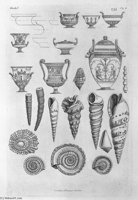 Other Shells, And Greek Vases Etched Outline — Giovanni Battista Piranesi
