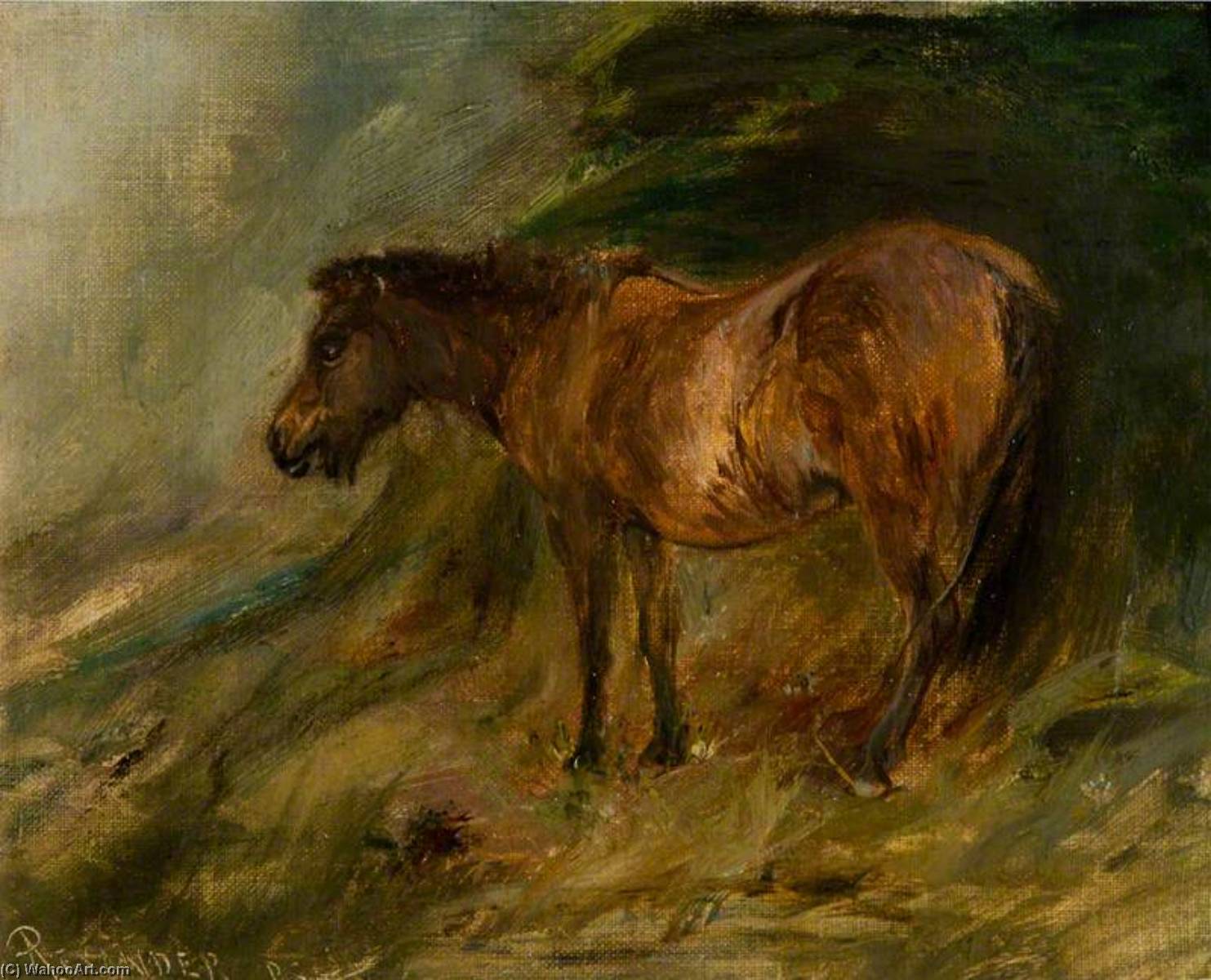 A Bay Pony Sheltering — Robert L. Alexander