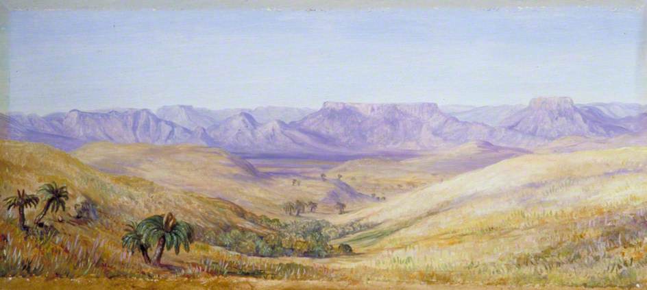 Panorama Der Berge Vom Eisenbahnweg Zwischen Durban Und Maritzburg, Natal — Marianne North