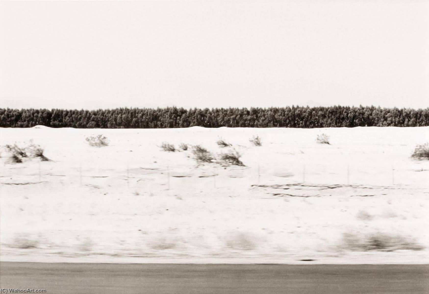 Autolandscape, Southern California — Elaine Mayes