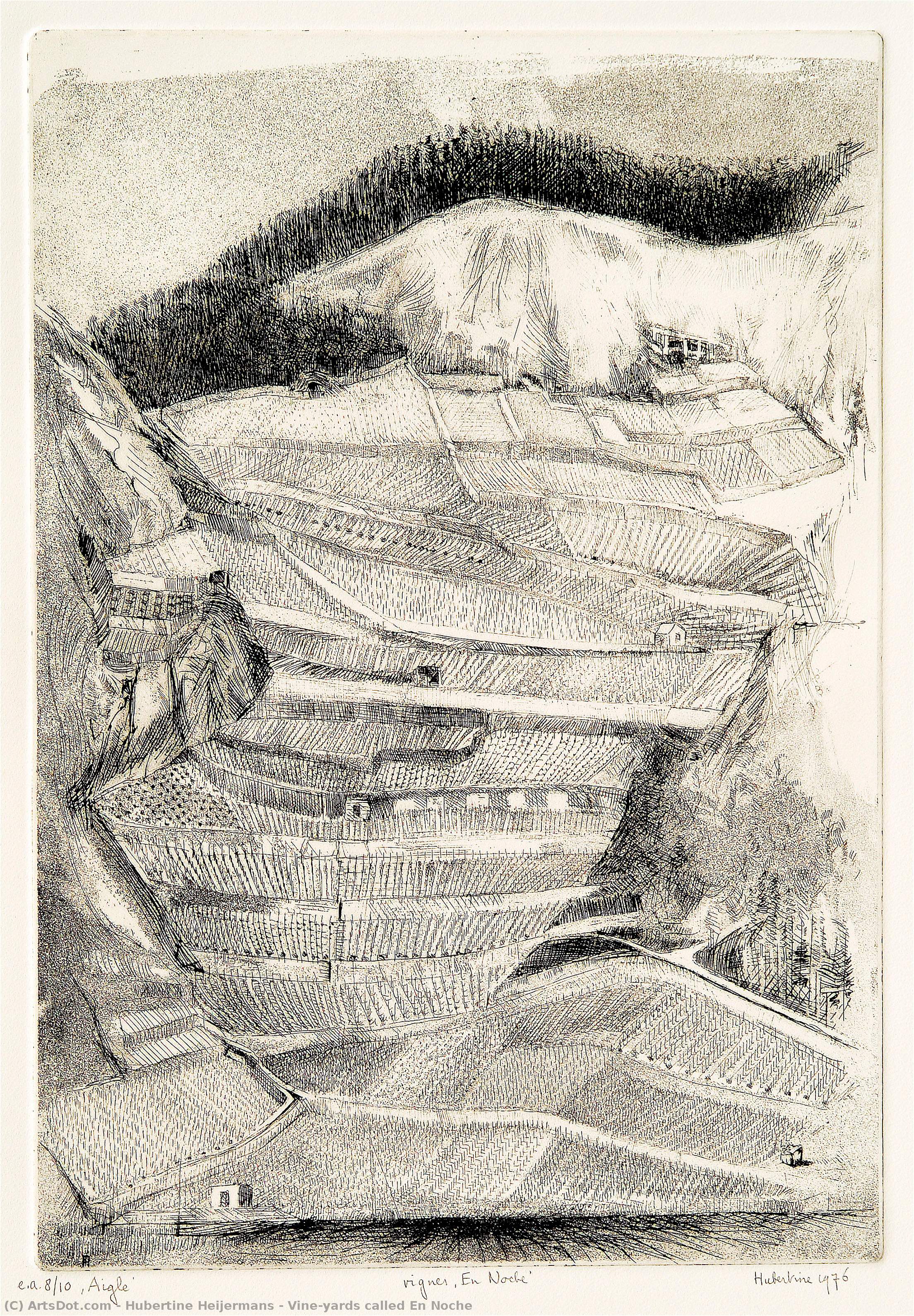 Vine-yards Called En Noche — Hubertine Heijermans