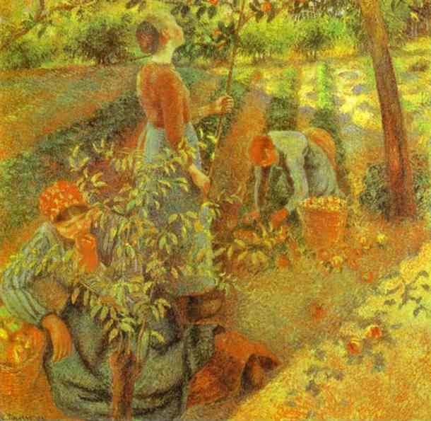 Apple Picking — Kamij Pisaro