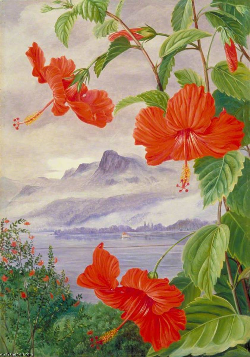 Mandrinette Und Die Bergheimat Der Kannenpflanze In Der Ferne — Marianne North