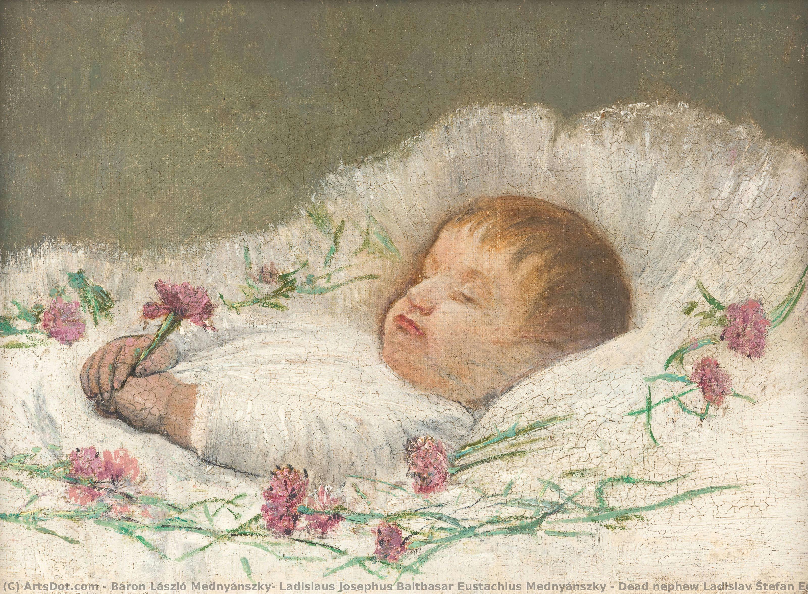 Dead Nephew Ladislav Štefan Eduard Czóbel — Baron László Mednyánszky, Ladislaus Josephus Balthasar Eustachius Mednyánszky