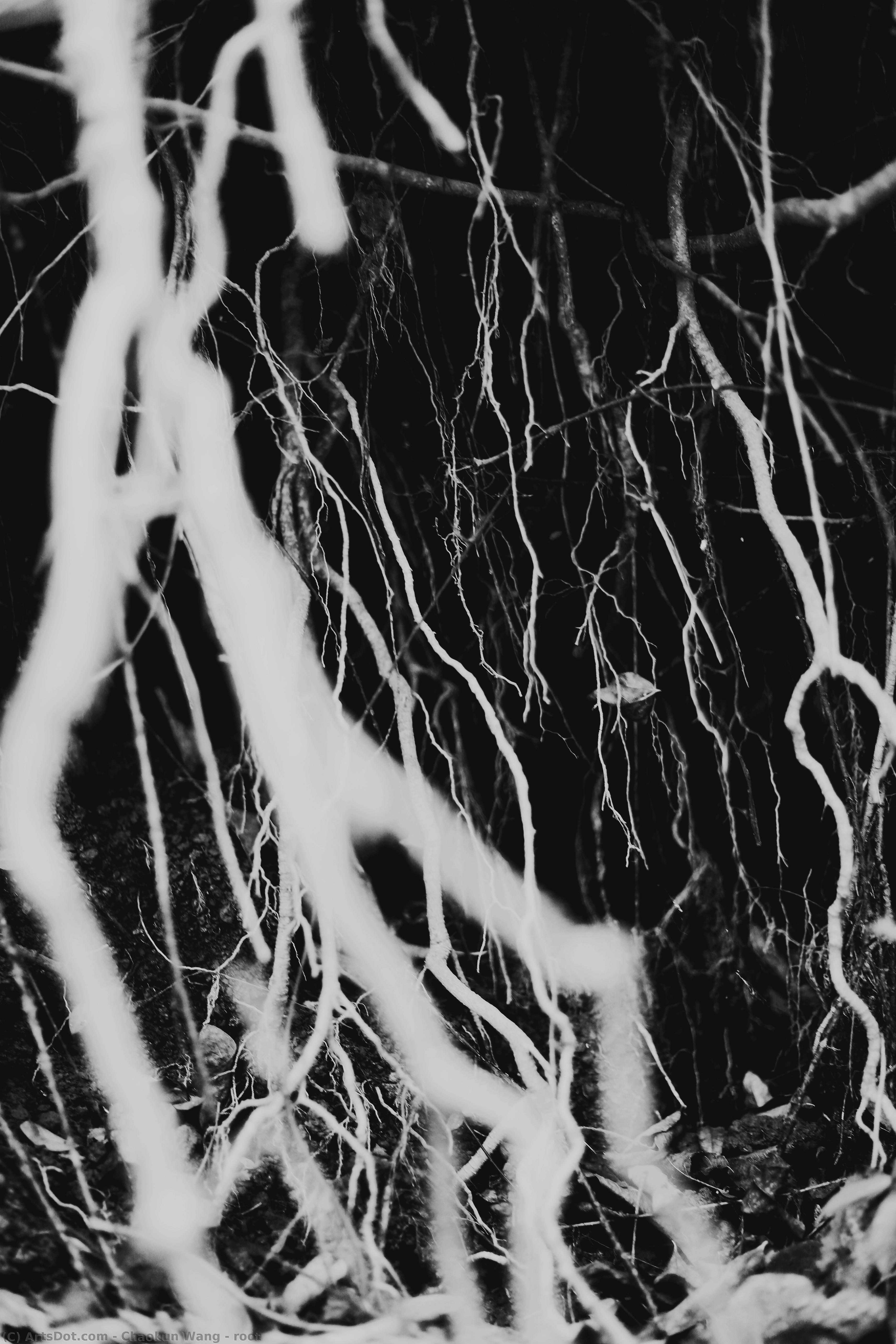 Root — Chaokun Wang
