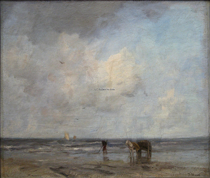 Schelpenvisser — Jacob Henricus Maris