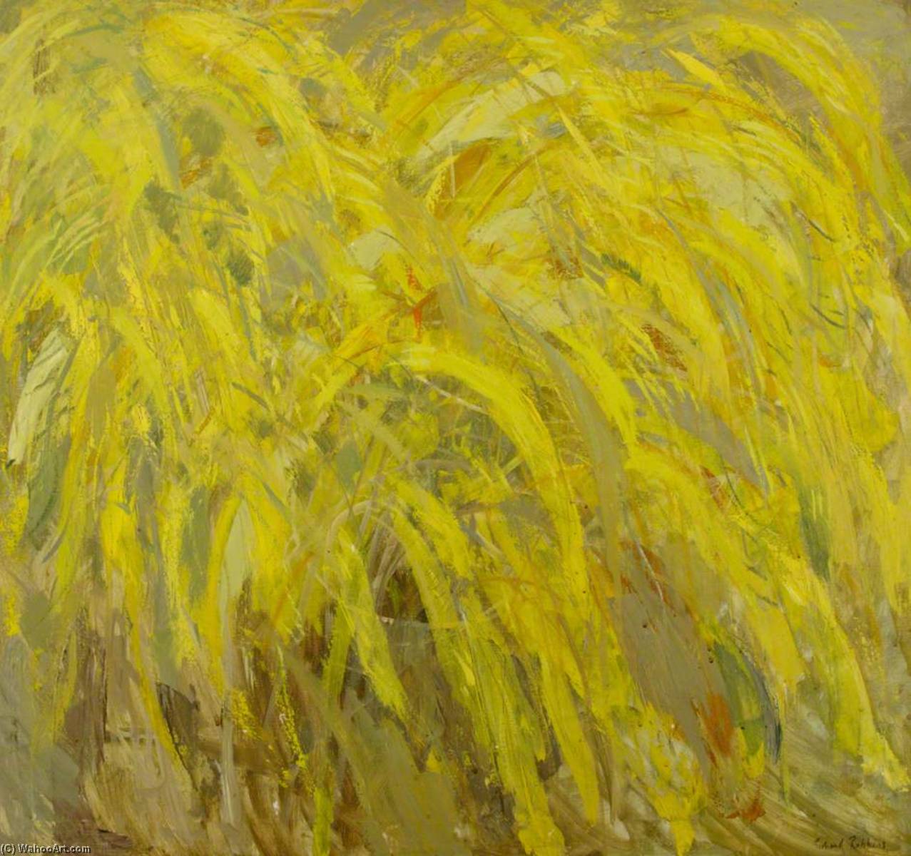 Yellow Spray — Richard Robbins
