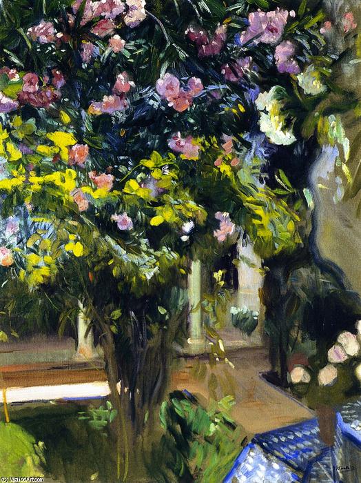 Oleanders In The Patio Of The Sorolla House — Joaquin Sorolla