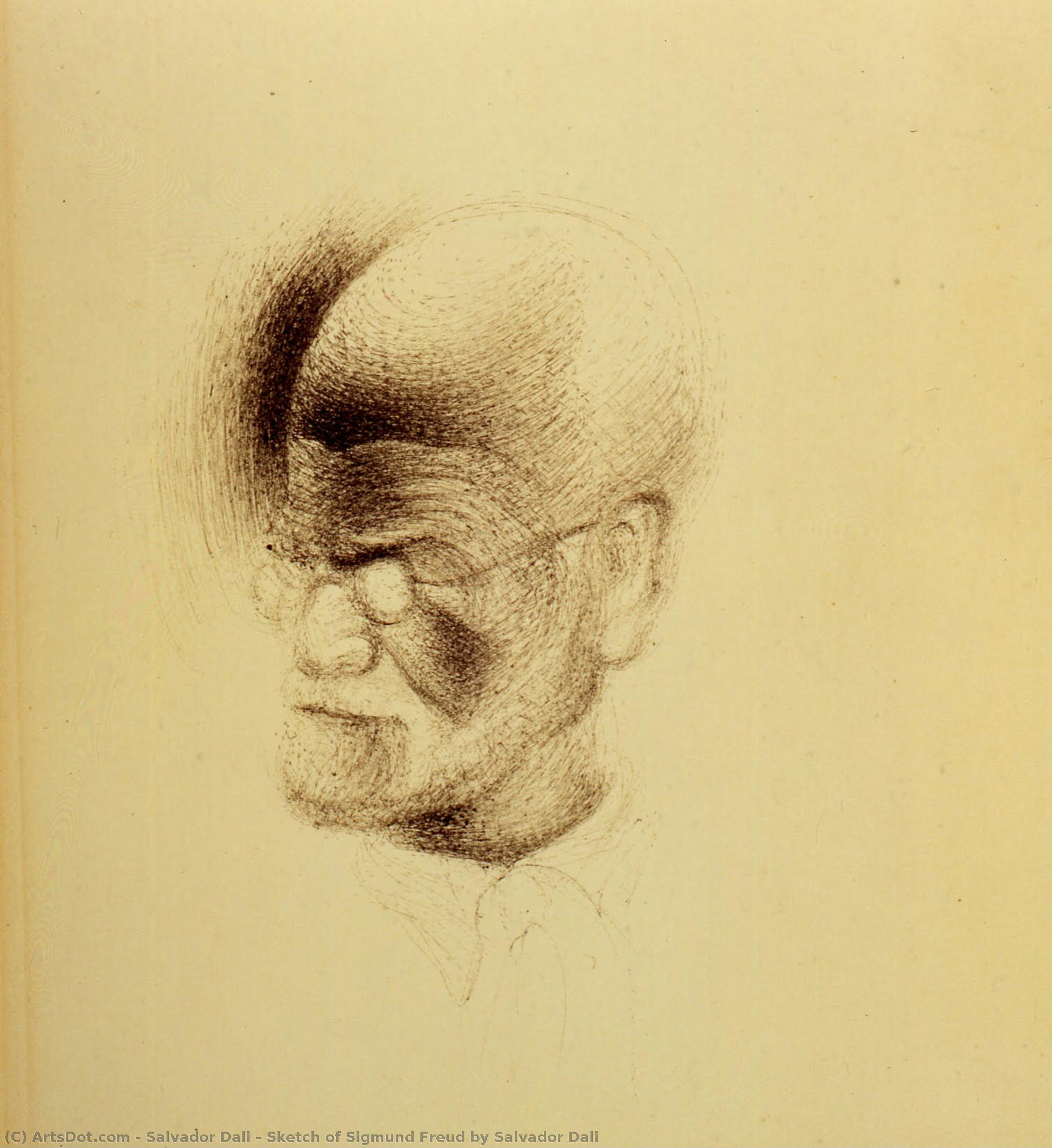 Esquema De Sigmund Freud Por Salvador Dalí — Salvador Dalí