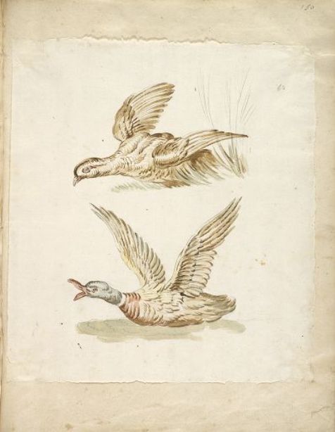 Two Birds Taking Flight — Jean-baptiste Oudry