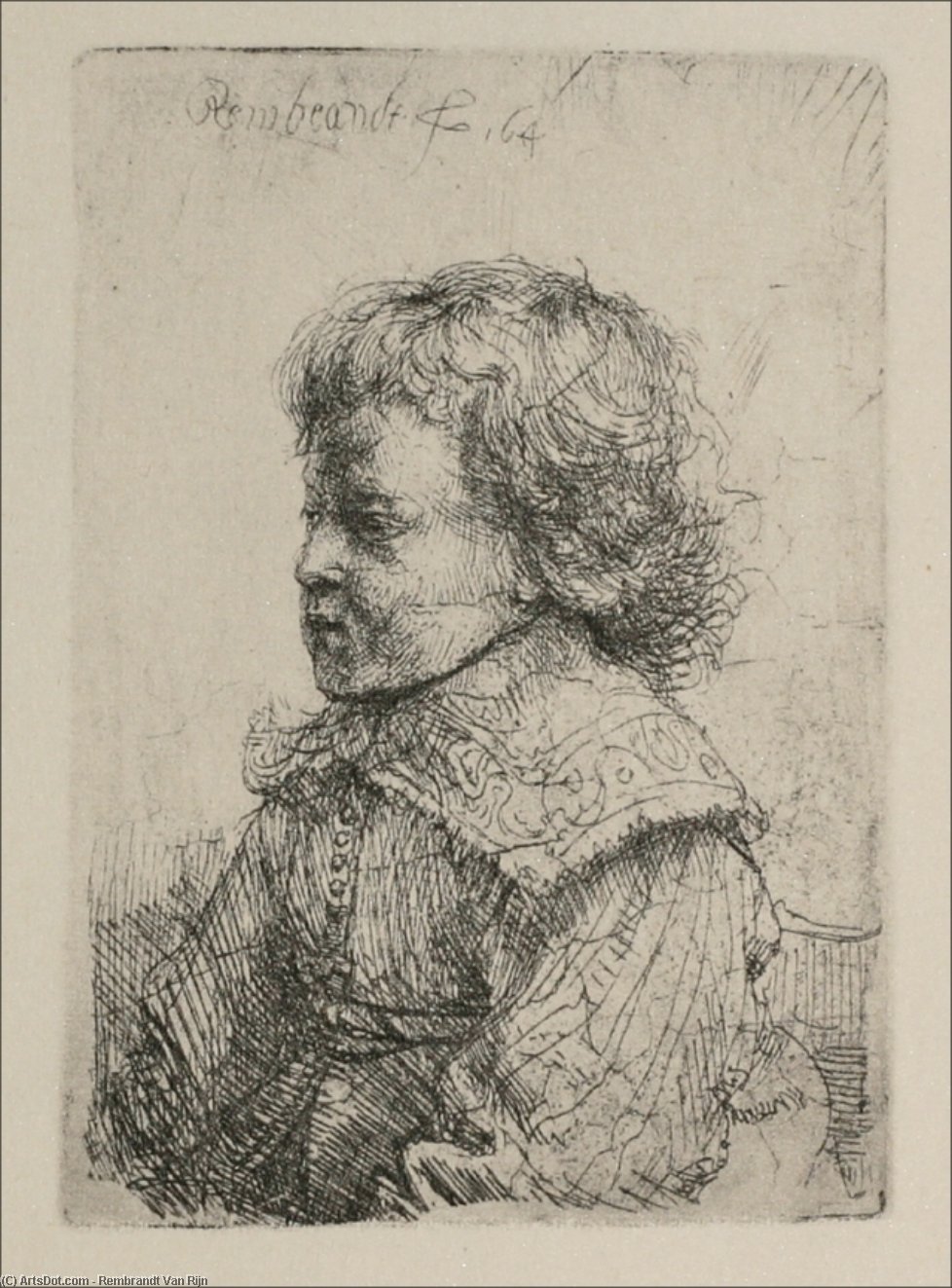 Portrait Of A Boy, Half-length — Rembrandt Van Rijn