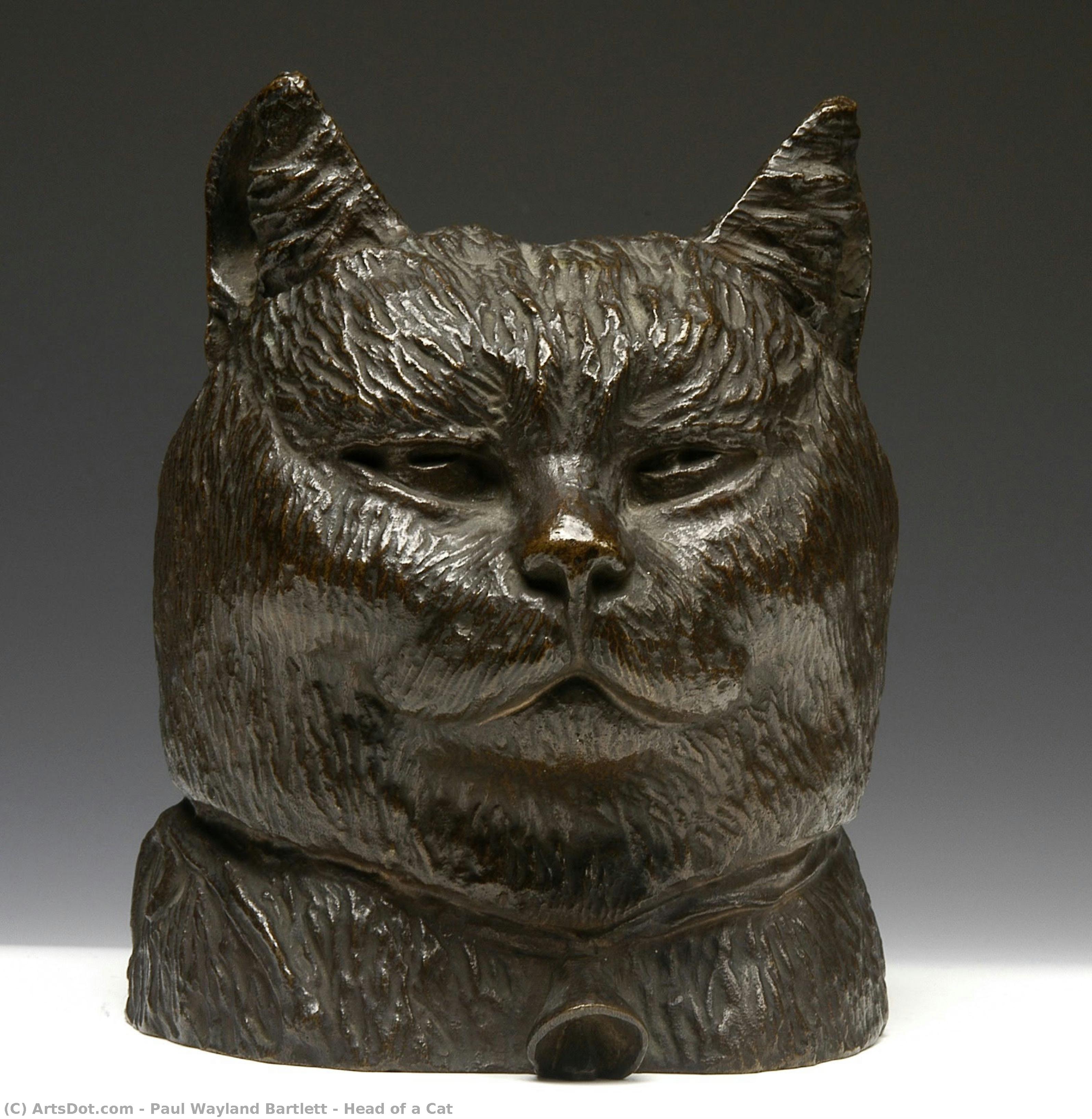 Head Of A Cat — Paul Wayland Bartlett