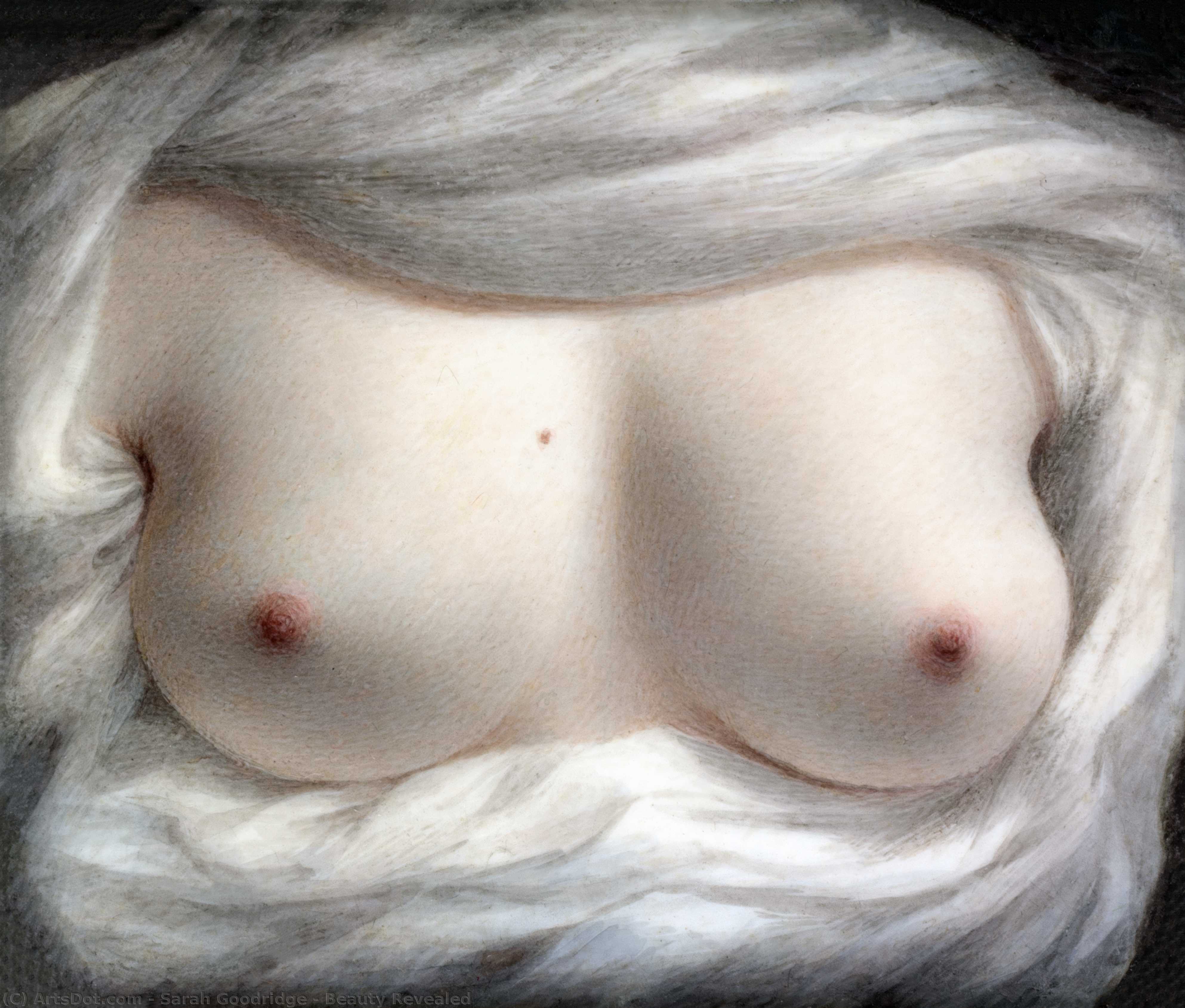 Beauty Revealed — Sarah Goodridge