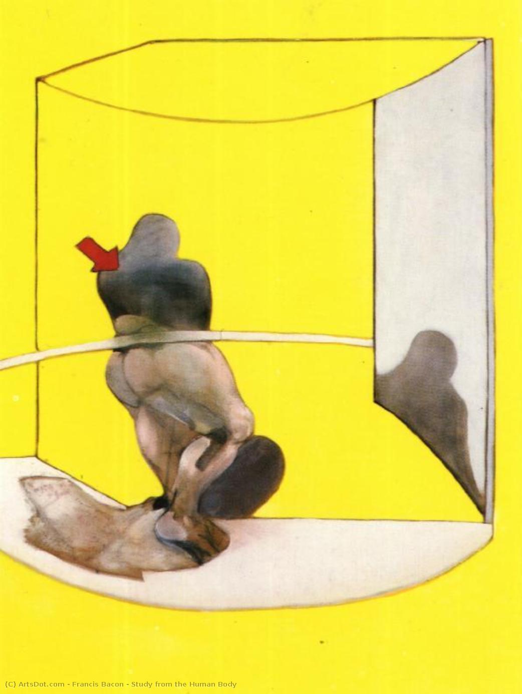 Estudio Del Cuerpo Humano — Francis Bacon