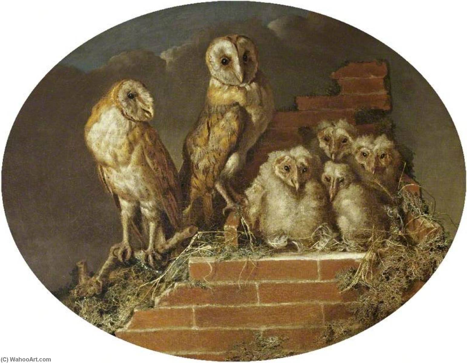 Barn Owls With Their Brood — William Tomkins