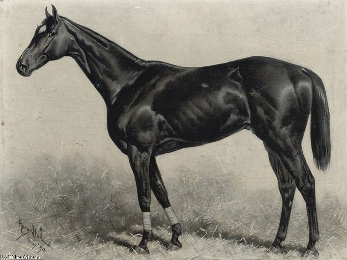 Dr Rice, Winner Of The Brooklyn Handicap Gravesand — Henry Stull