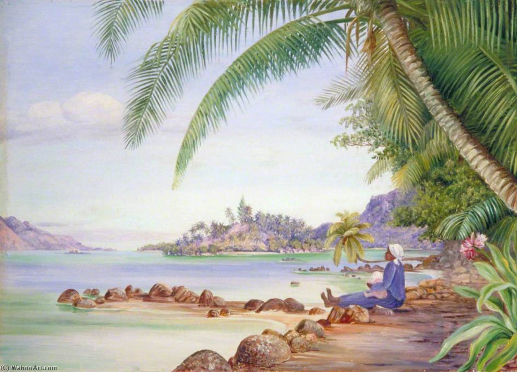 Blick Auf Round Island Und Einen Teil Von St Anne's Von Der Quarantine Island — Marianne North
