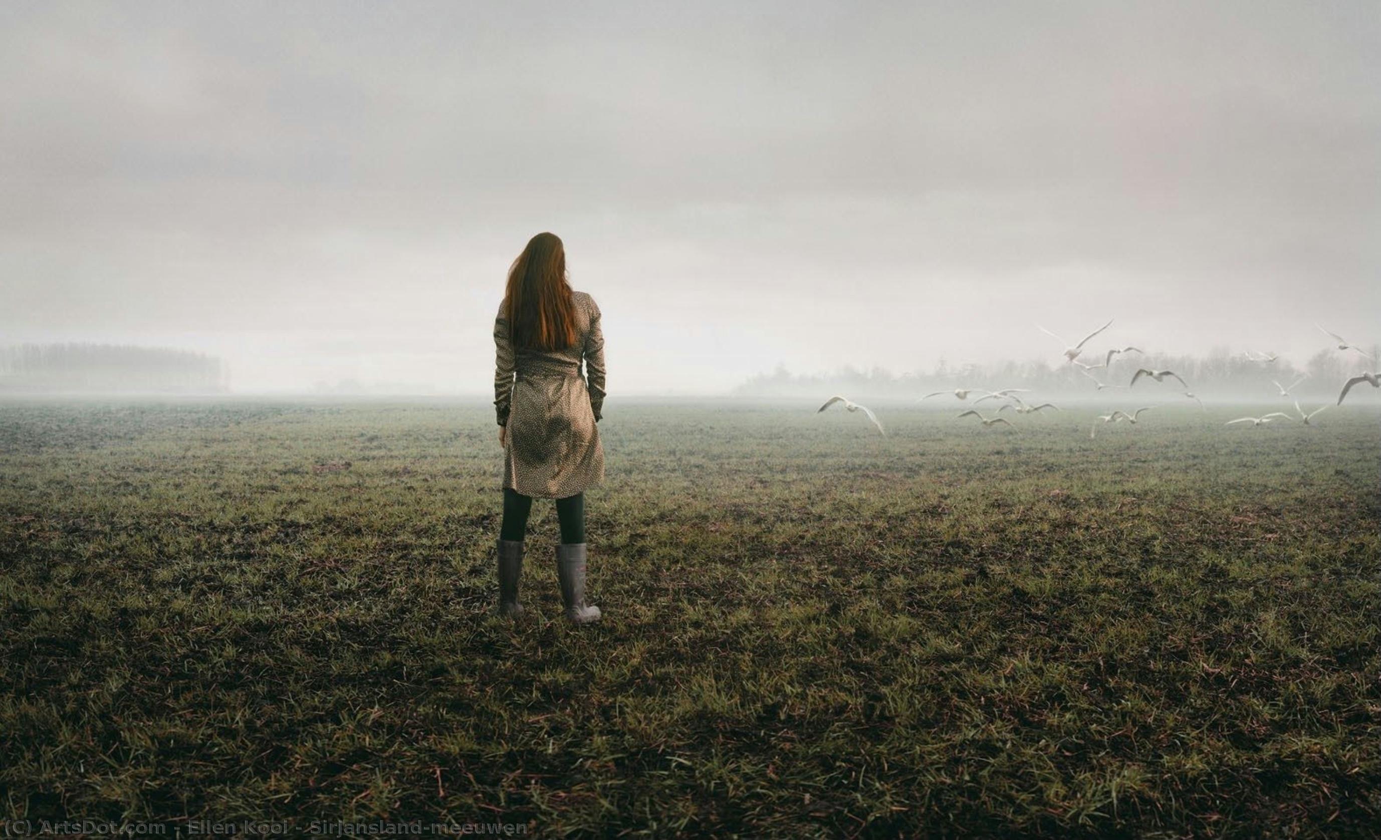 Sirjansland-meeuwen — Ellen Kooi