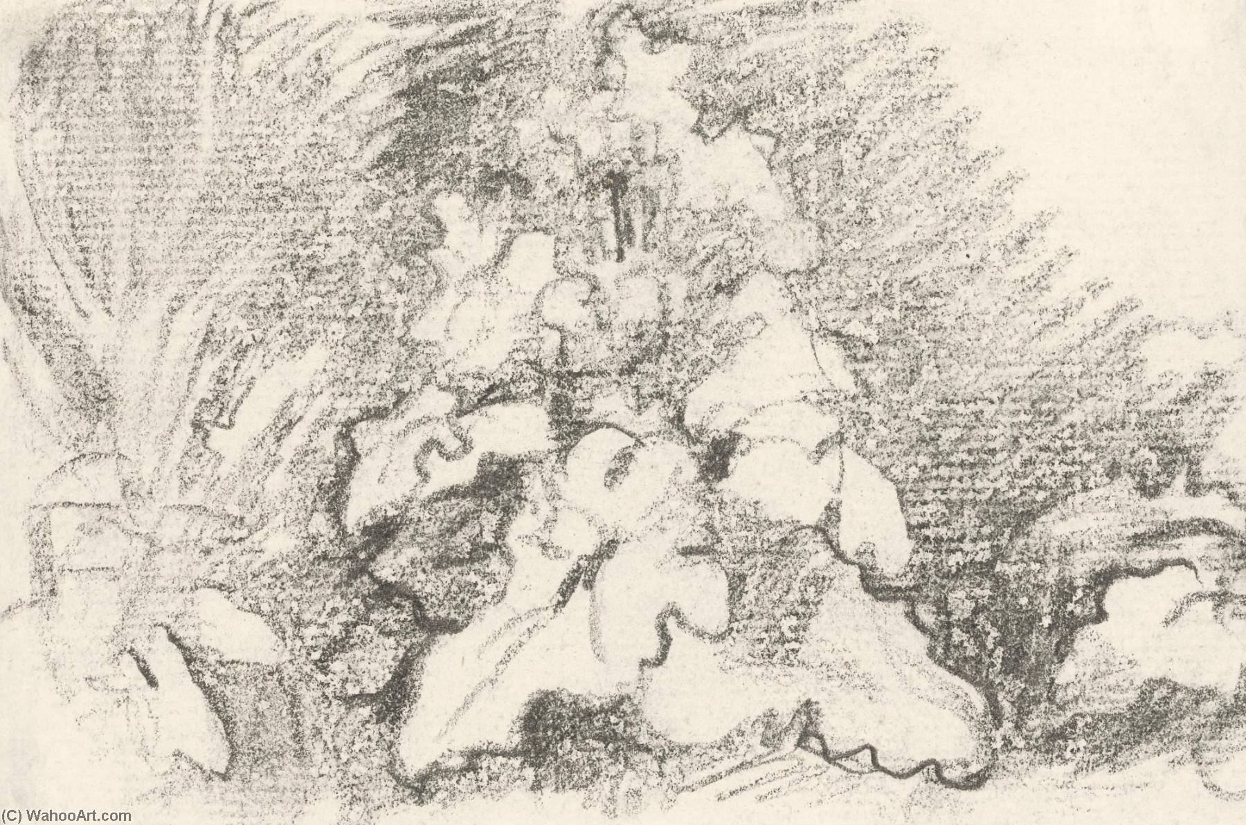 A Study Of Burdock Leaves — Джон Констебл