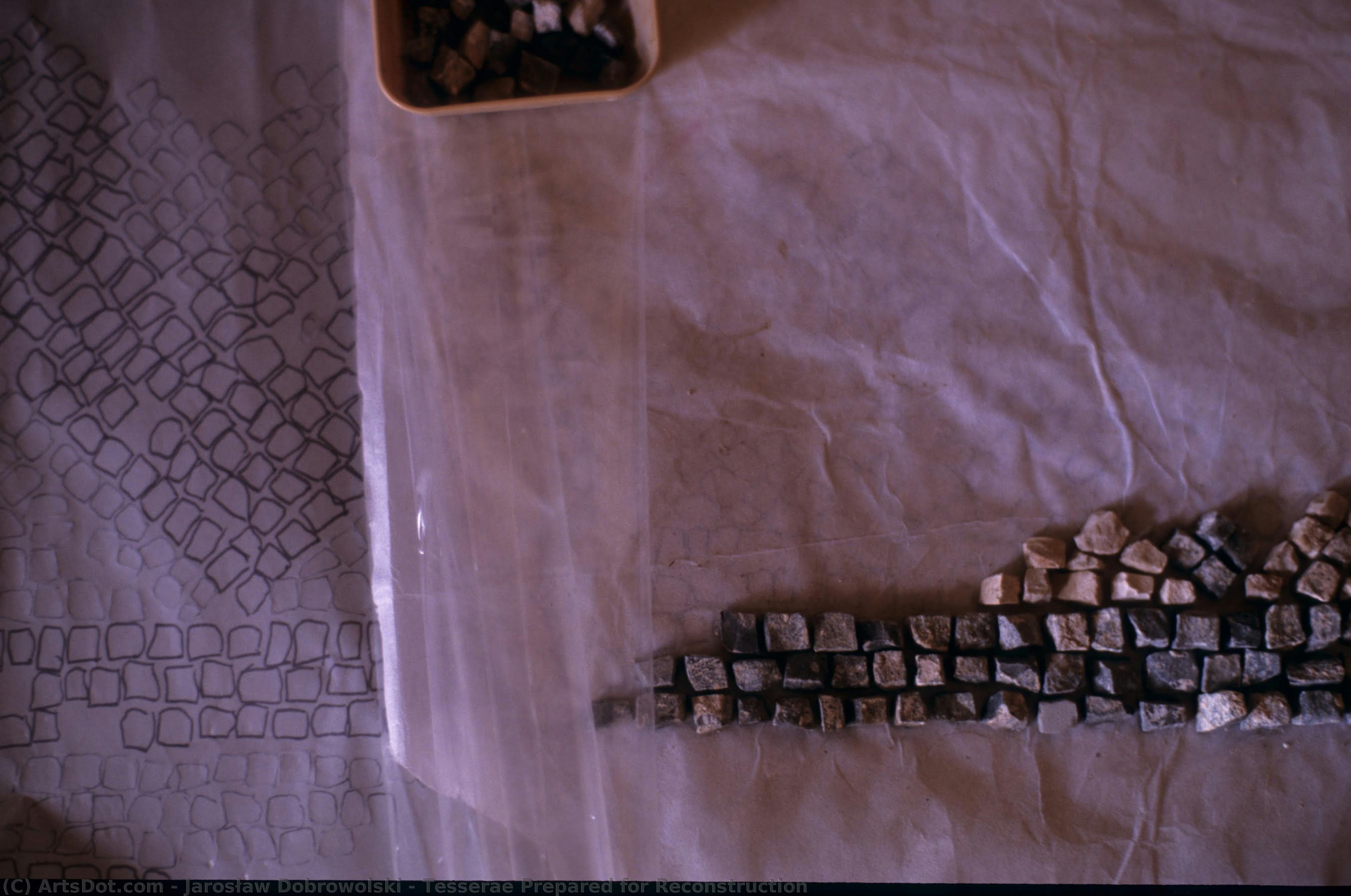 Tesserae Prepared For Reconstruction — Jarosław Dobrowolski