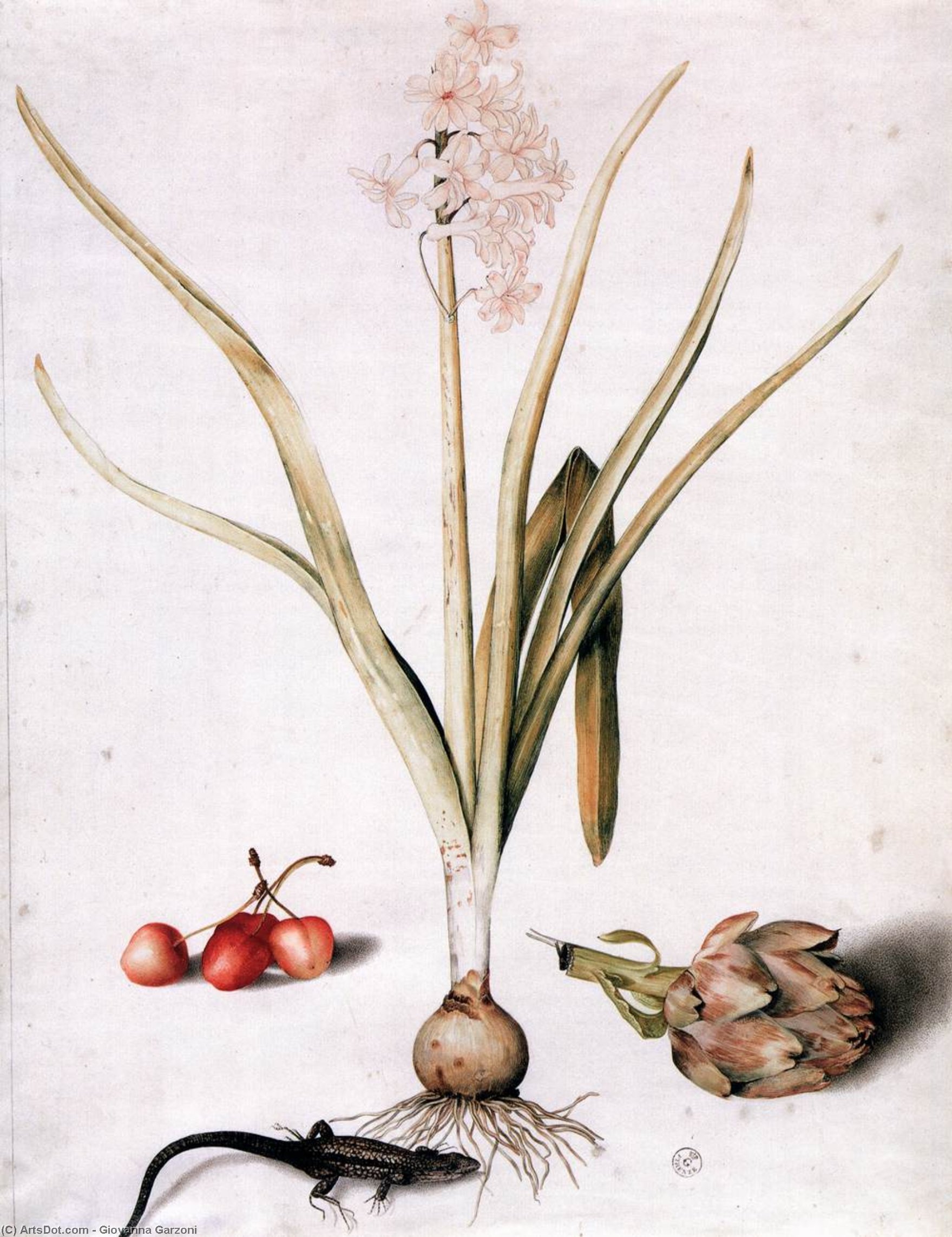 Hyacinth With Four Cherries, A Lizard, And An Artichoke — Giovanna Garzoni