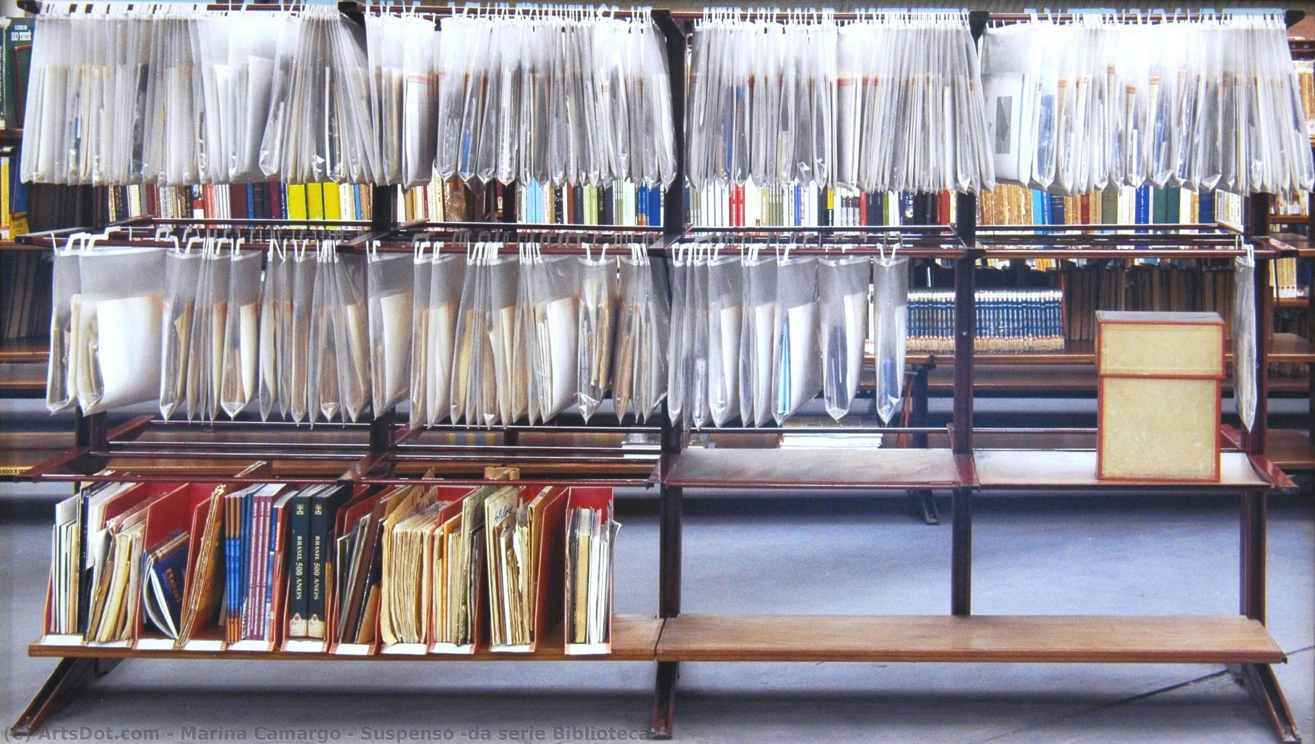 Suspenso (da Série Biblioteca) — Marina Camargo