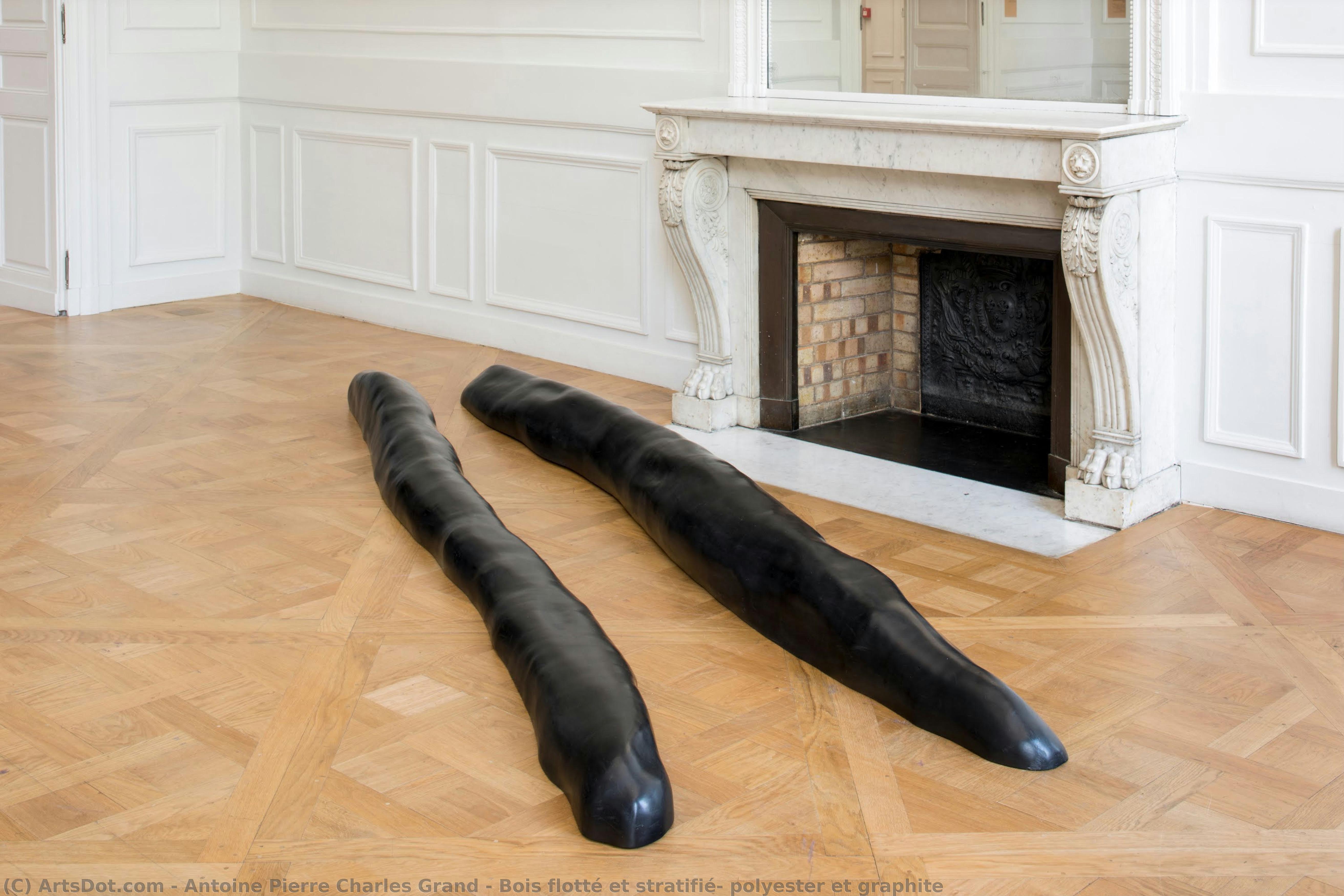 Bois Flotté Et Stratifié, Polyester Et Graphite — Antoine Pierre Charles Grand