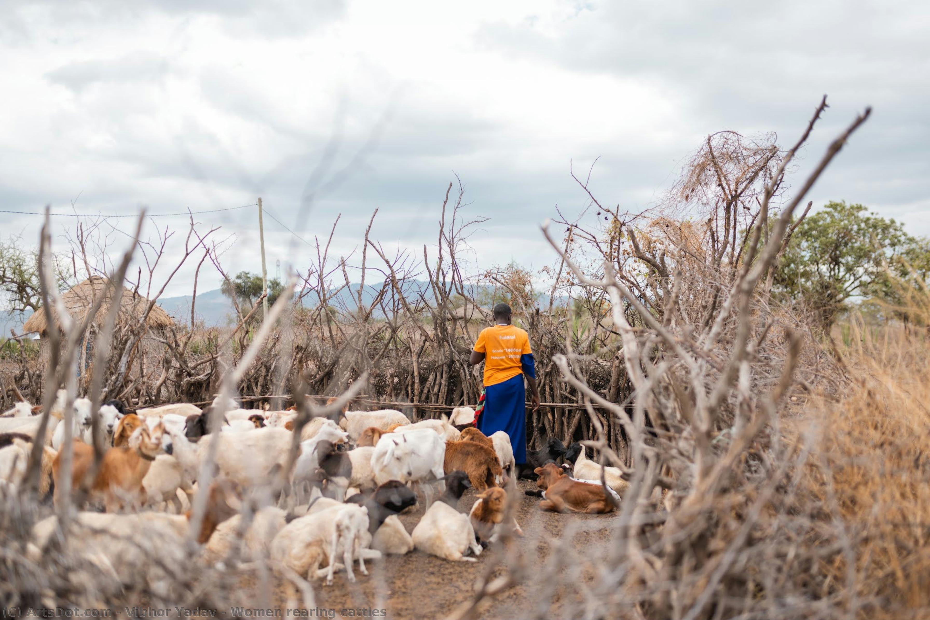 Women Rearing Cattles — Vibhor Yadav