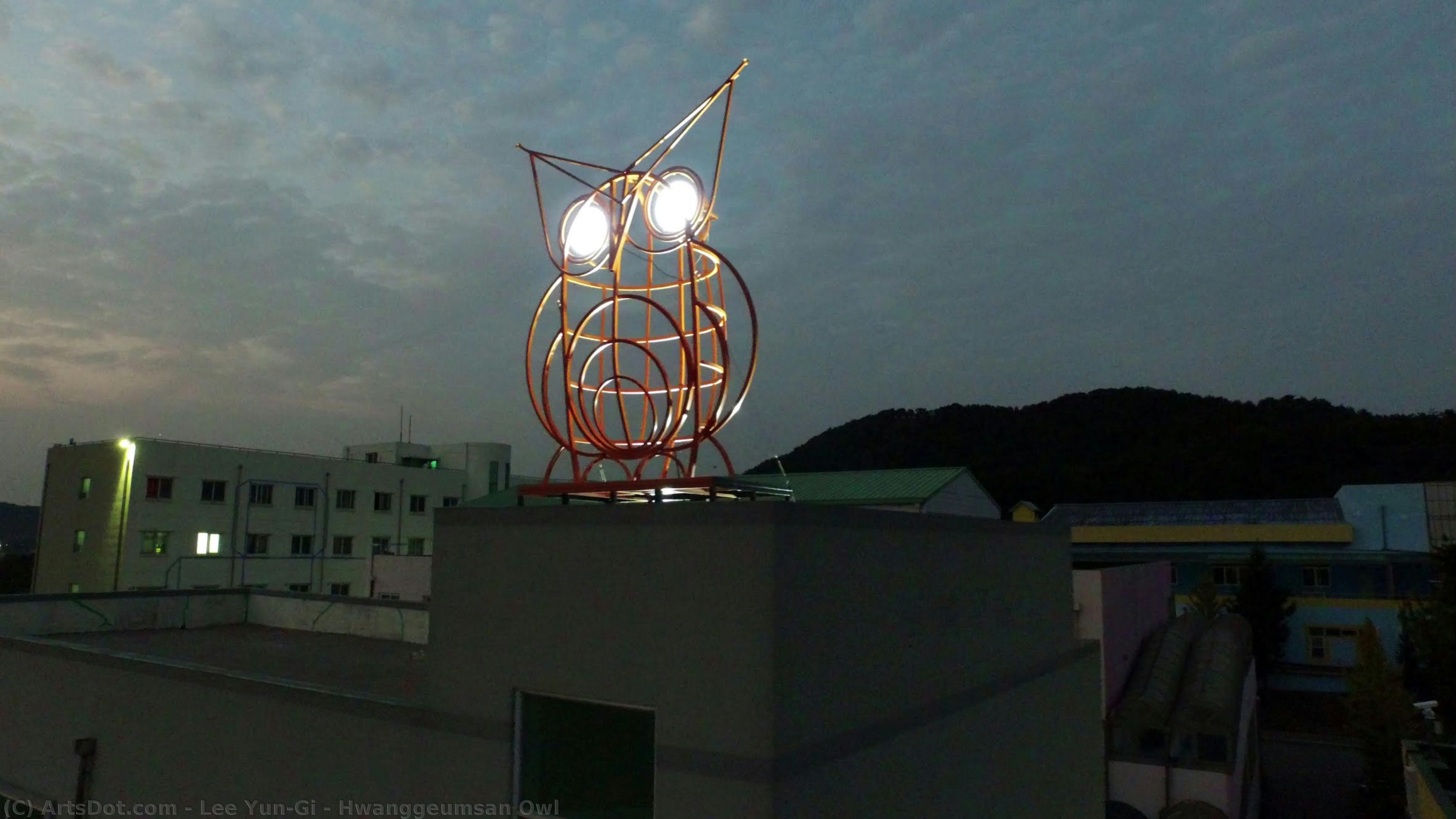 Hwanggeumsan Owl — Lee Yun-gi