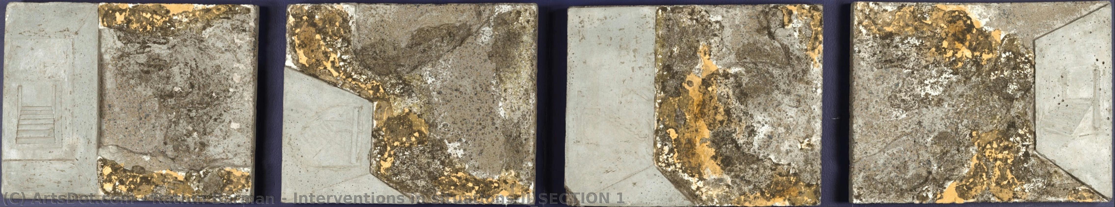 Interventions In Situations-ii_section 1 — Rathin Barman