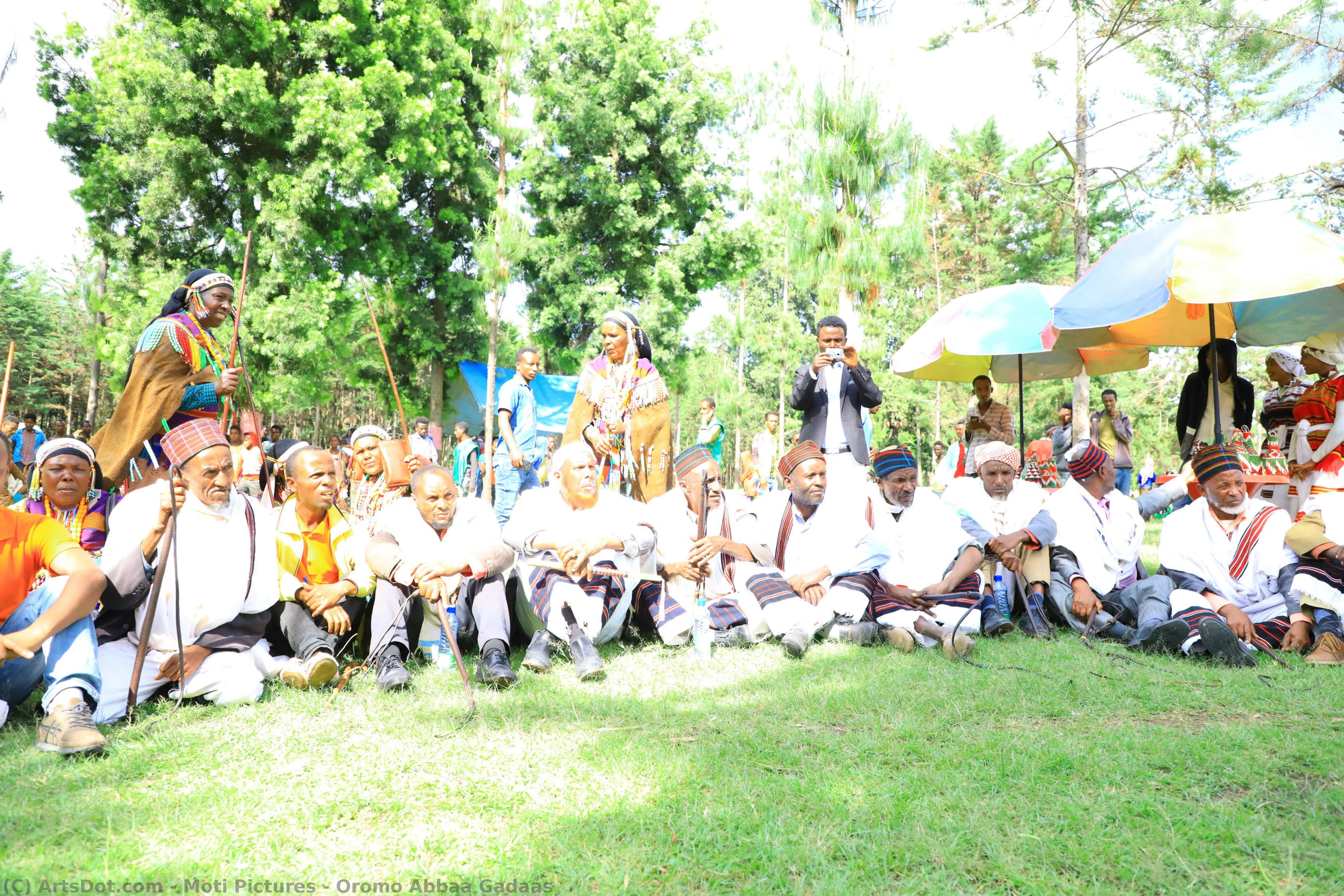 Oromo Abbaa Gadaas — Moti Pictures