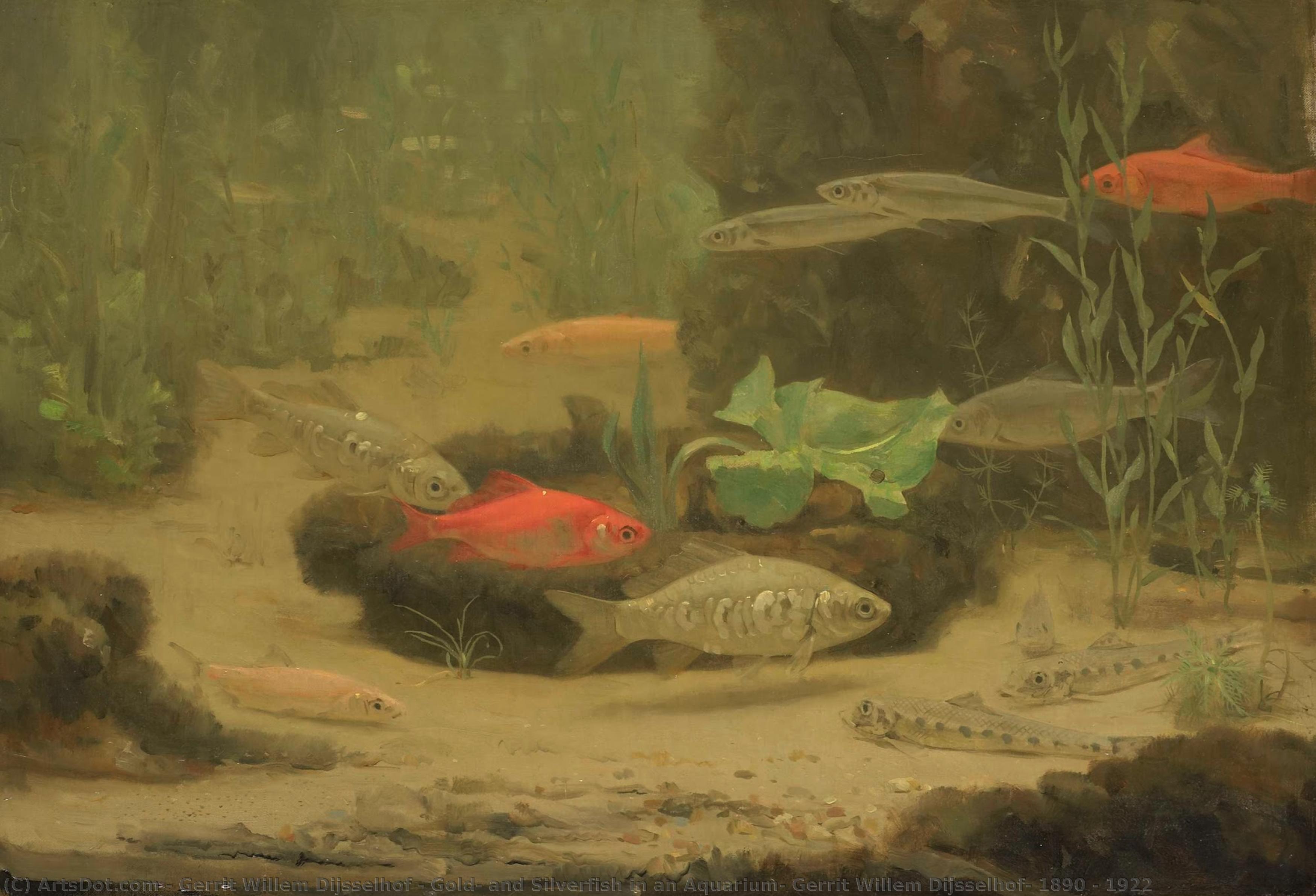 Gold- And Silverfish In An Aquarium, Gerrit Willem Dijsselhof, 1890 - 1922 — Gerrit Willem Dijsselhof