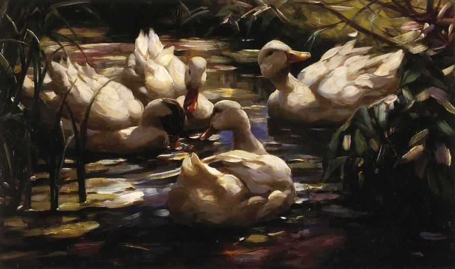 Ducks In A Forest Pond — Alexander Max Koeste