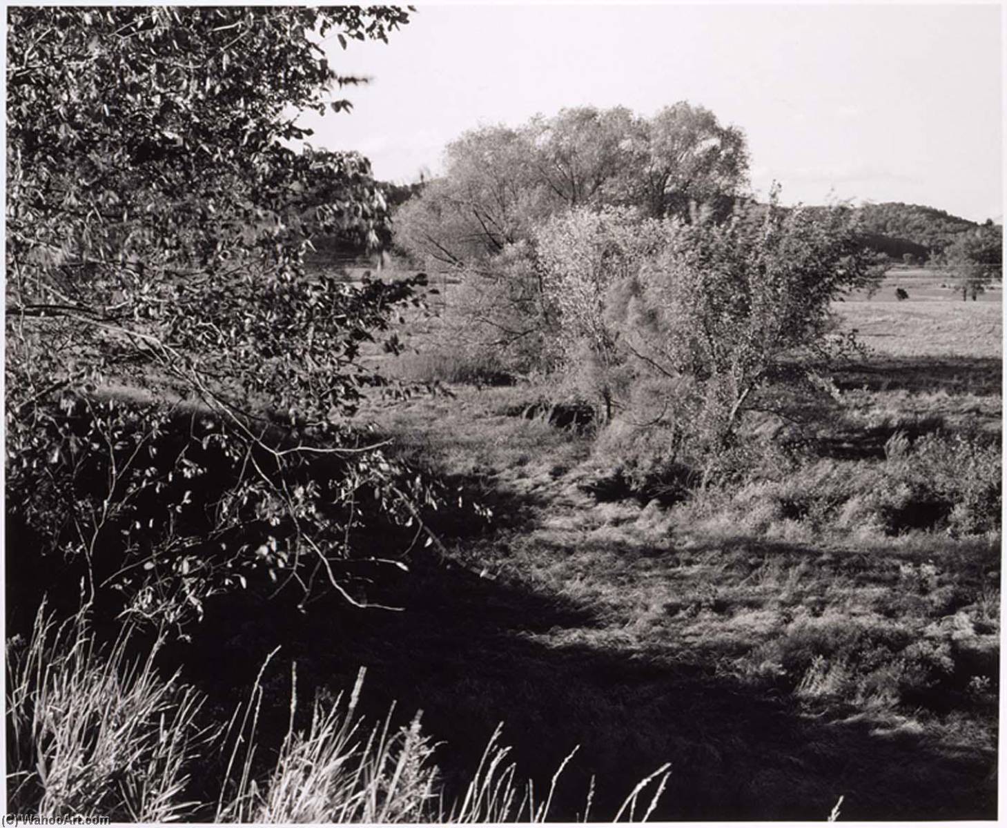 Iowa County, Wisconsin, October 1990 — Gregory Conniff