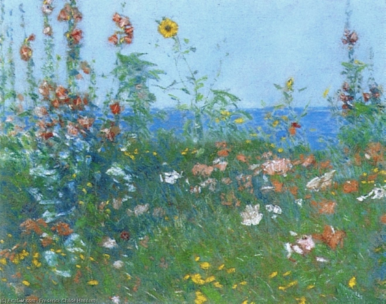 Poppies, Isles Of Shoals 2 — Frederick Childe Hassam