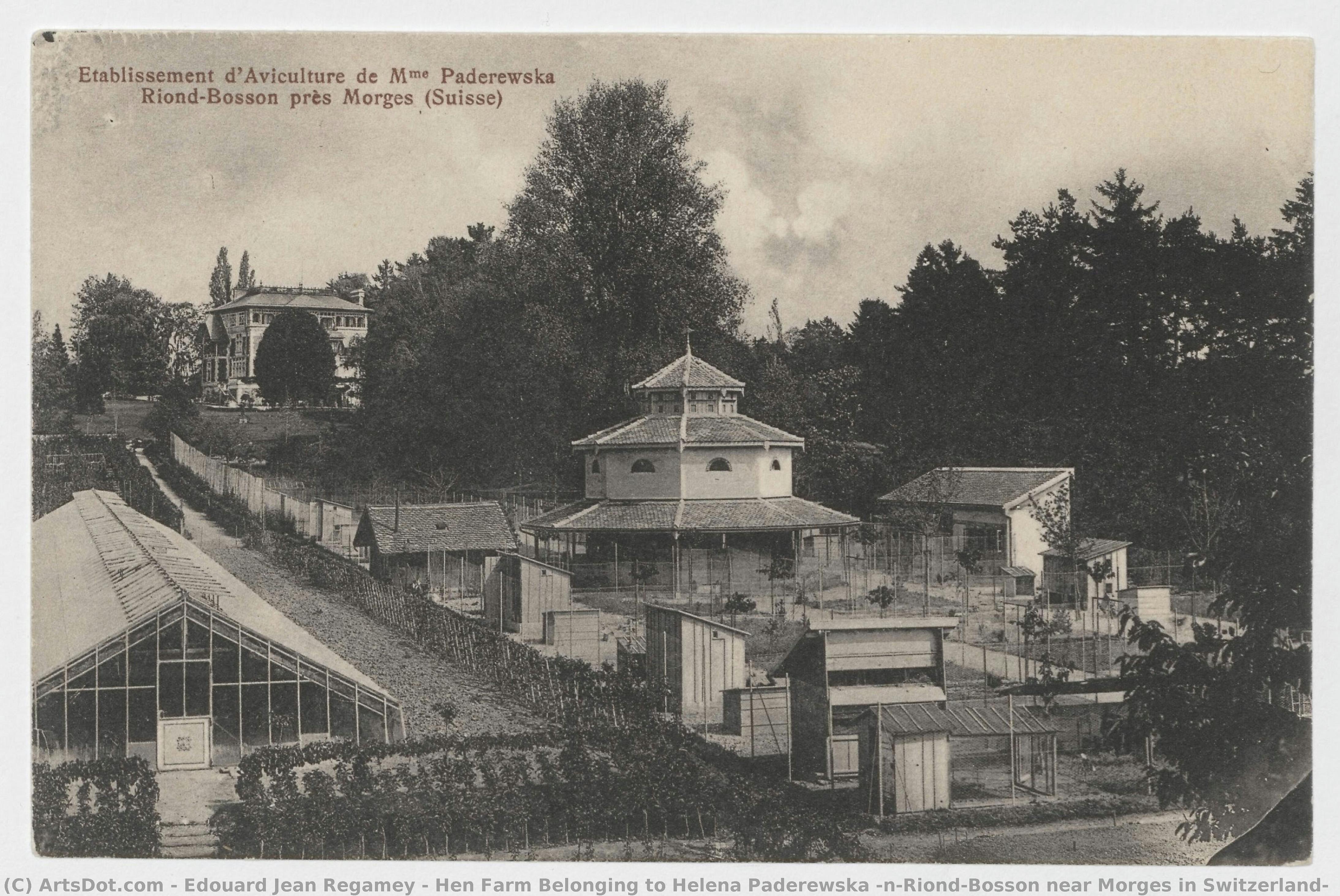 Hen Farm Belonging To Helena Paderewska \n[riond-bosson Near Morges In Switzerland] — Edouard Jean Regamey