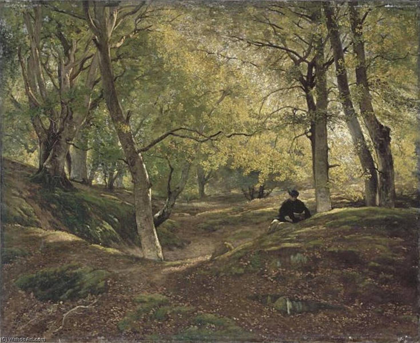 Hetraie Dans La Foret De Fontainebleau — Constant Dutilleux